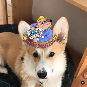 groduk boucar bjtcool